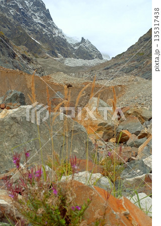Chalaadi Glacier, ice, moraine and snow in the Caucasus Mountains in autumn, Mestia, Svaneti, Georgia. 135317438