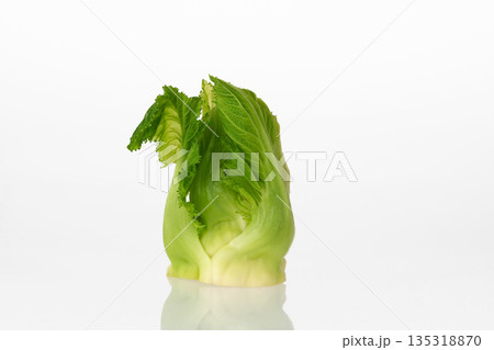 つぼみ菜 135318870