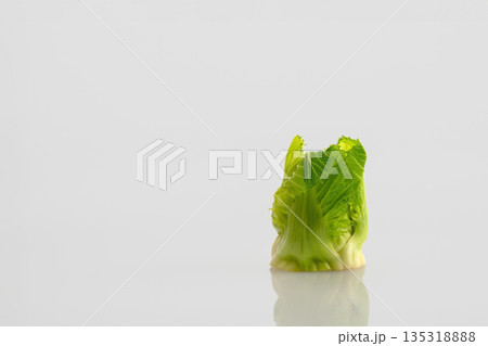 つぼみ菜 135318888