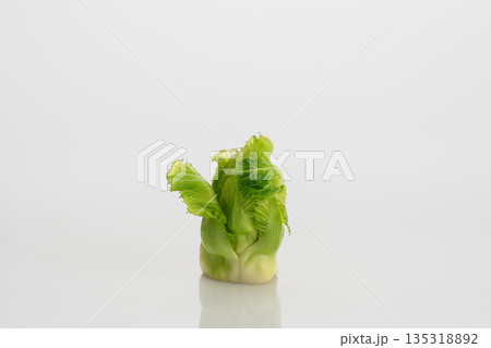 つぼみ菜 135318892