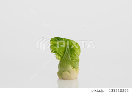 つぼみ菜 135318893