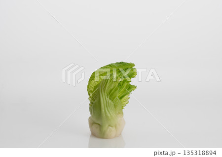 つぼみ菜 135318894