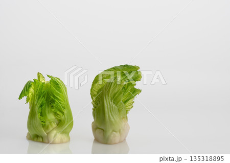 つぼみ菜 つぼみ菜 135318895