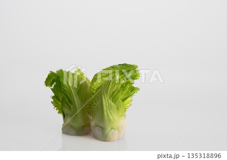 つぼみ菜 135318896