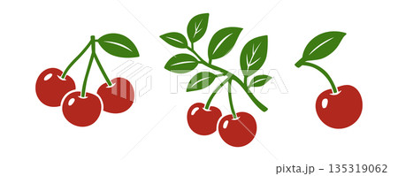 Cherry set with branches and leaves. Flat vector fruit illustration for food design, natural themes and decorative artworks 135319062