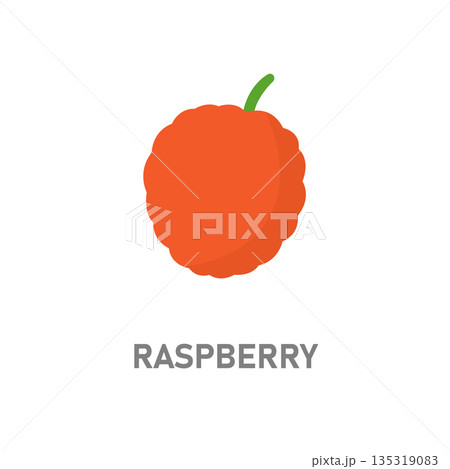Raspberry fruit illustration. Bright red berry icon isolated on white background for food and dessert designs Raspberry fruit illustration. Bright red berry icon isolated on white background for food and dessert designs 135319083