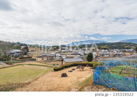 明日香村の農村風景　奈良県 135319322
