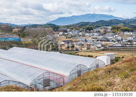 明日香村の農村風景 奈良県 明日香村の農村風景 奈良県 135319330