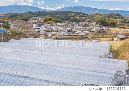 明日香村の農村風景 奈良県 明日香村の農村風景 奈良県 135319331