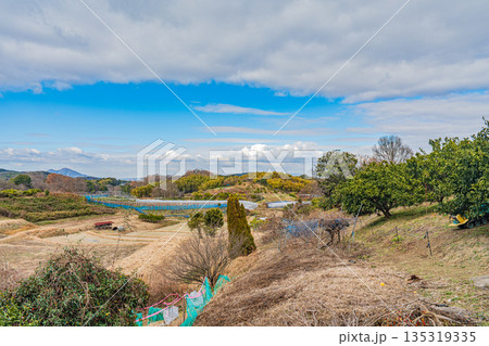 明日香村の山田風景　奈良県 135319335
