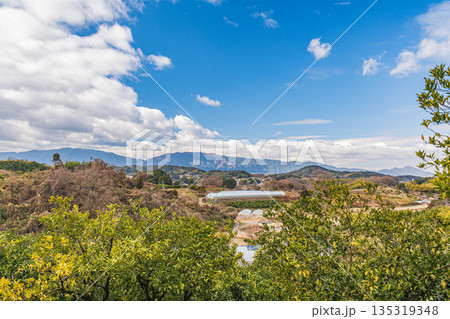 冬の明日香村風景　奈良県 135319348
