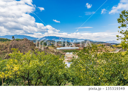 冬の明日香村風景　奈良県 135319349