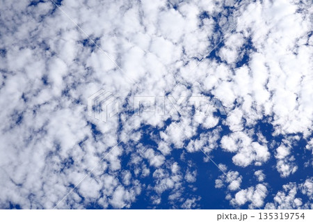 青空に広がる美しいうろこ雲 135319754