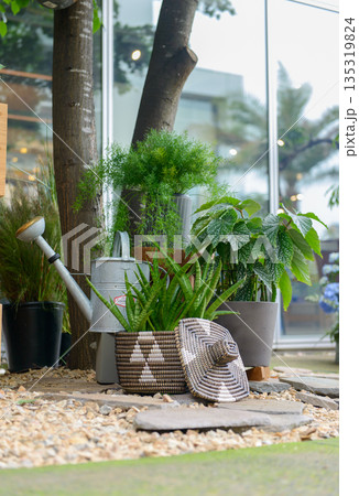 ジョウロと観葉植物が彩るテラスのガーデニング風景 お洒落な鉢植えと園芸道具が並ぶ庭のイメージ ジョウロと観葉植物が彩るテラスのガーデニング風景 お洒落な鉢植えと園芸道具が並ぶ庭のイメージ 135319824