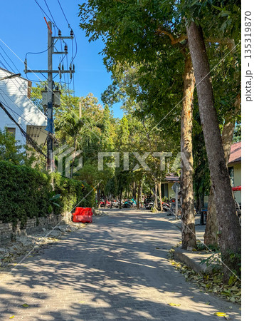 Quiet Tropical Street With Trees And Motorbikes Quiet Tropical Street With Trees And Motorbikes 135319870