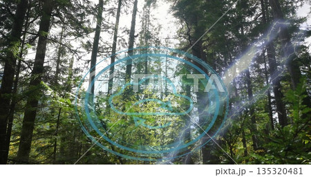 Projecting blue circular hologram in forest clearing with lightning streak and canopy sunbeams 135320481
