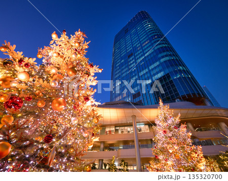 高輪ゲートウェイシティのクリスマスイルミネーション 東京都 高輪ゲートウェイシティのクリスマスイルミネーション 東京都 135320700