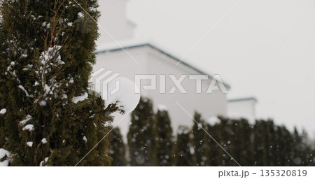 Close up snowflakes falling in backyard with trees. Weather concept. Close up snowflakes falling in backyard with trees. Weather concept. 135320819