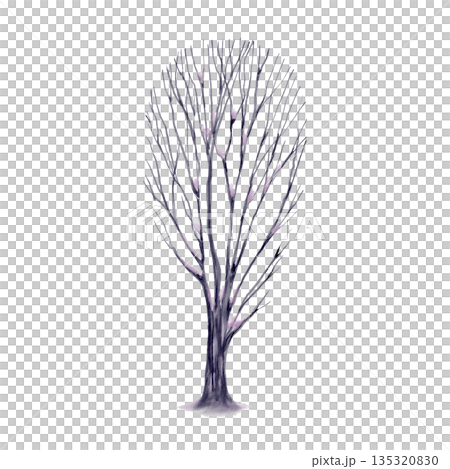 Bare tree in winter and spring with snow on its branches symbolizes natures winter slumber.Watercolor hand drawn illustration for childrens educational books and themed games,coloring books 135320830