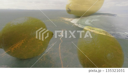 Hovering citrus-like spheres overlapping dirt path and beach, showing gentle ocean waves 135321031