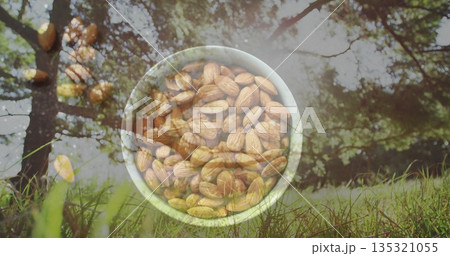 Blending white ceramic bowl of whole almonds into grassy forest clearing, double exposure effect Blending white ceramic bowl of whole almonds into grassy forest clearing, double exposure effect 135321055