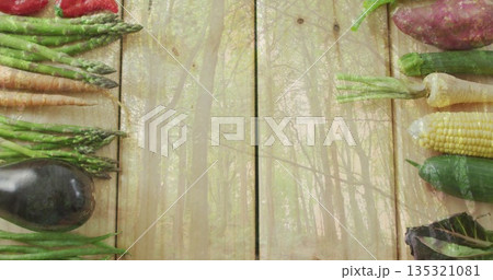 Displaying assorted fresh vegetables lining wooden plank surface, with translucent forest overlay 135321081