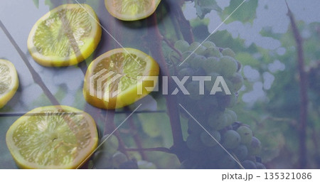 Displaying circular lemon slices layering at dark grey tabletop, green grape cluster, vine branches 135321086