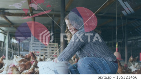 Crouching farm caretaker pouring feed into metal trough inside poultry barn, holding white bucket 135321456
