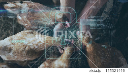 Worker in jeans and shirt grasping brown chickens in poultry pen, with digital padlock overlay 135321466