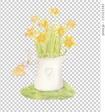 Watercolor bouquet of yellow daffodils in vintage vase with tag isolated on white. Retro jug with spring garden flowers clipart. Watercolor bouquet of yellow daffodils in vintage vase with tag isolated on white. Retro jug with spring garden flowers clipart. 135321583