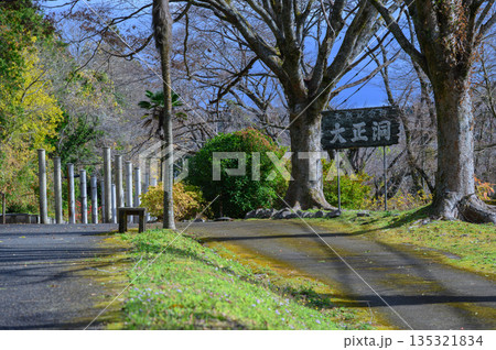 天然記念物・大正洞の入口看板と周囲の豊かな自然 天然記念物・大正洞の入口看板と周囲の豊かな自然 135321834