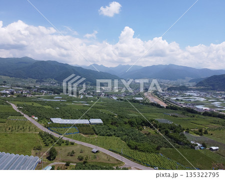 長野の中野市の農園と夏の青空 雄大な山並みと果樹園の風景(ドローン空撮) 長野の中野市の農園と夏の青空 雄大な山並みと果樹園の風景(ドローン空撮) 135322795