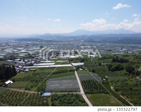 長野の中野市の農園と夏の青空 雄大な山並みと果樹園の風景(ドローン空撮) 長野の中野市の農園と夏の青空 雄大な山並みと果樹園の風景(ドローン空撮) 135322797