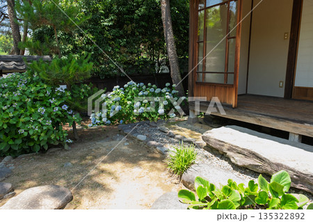 紫陽花と日本家屋 紫陽花と日本家屋 135322892