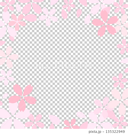 Simple cherry blossom petal frame_square Simple cherry blossom petal frame_square 135322949