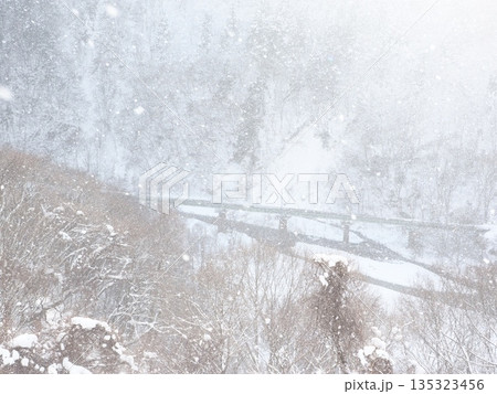 降雪で視界がかすむ豪雪地帯の林　寒波の厳しい冬景色 135323456