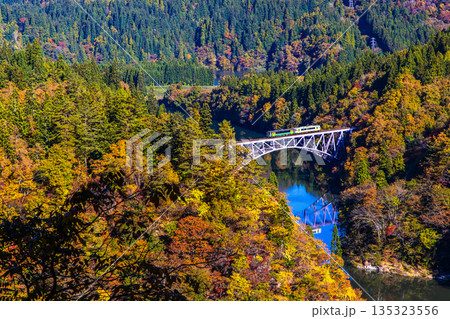 【福島県_奥会津】秋深まる第一只見橋染 10月 11月 135323556