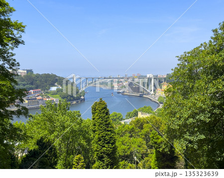 Scenic view of Arrabida bridge in Porto, Portugal. Summer landscape with Douro river, greenery and 135323639