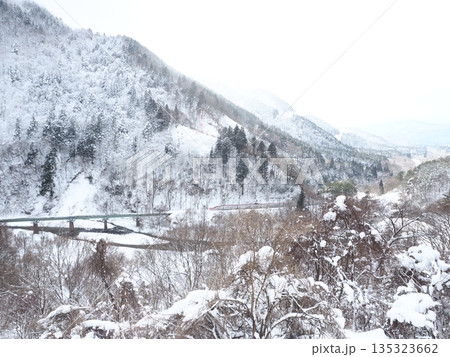 雪景色の中を疾走する秋田新幹線こまち 雪景色の中を疾走する秋田新幹線こまち 135323662