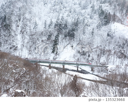 雪景色の山間を疾走する秋田新幹線こまち モノクロの世界 コピースペース 雪景色の山間を疾走する秋田新幹線こまち モノクロの世界 コピースペース 135323668