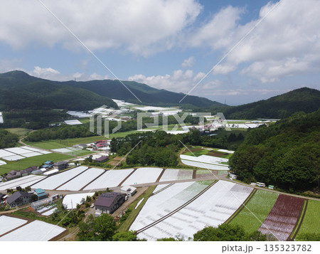 初夏の菅平高原と広がる高原野菜畑の空撮 初夏の菅平高原と広がる高原野菜畑の空撮 135323782