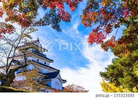 【福島県_会津若松市】晩秋の鶴ヶ城 10月 11月 【福島県_会津若松市】晩秋の鶴ヶ城 10月 11月 135323885