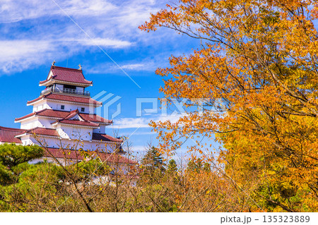 【福島県_会津若松市】晩秋の鶴ヶ城　10月 11月 135323889