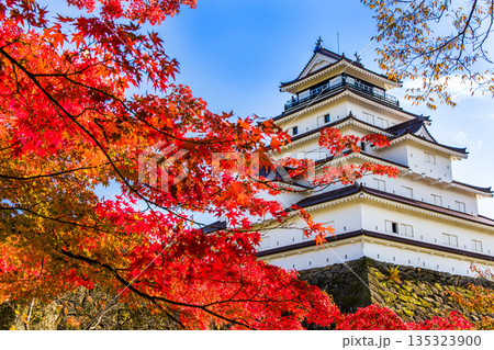 【福島県_会津若松市】晩秋の鶴ヶ城　10月 11月 135323900