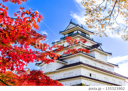 【福島県_会津若松市】晩秋の鶴ヶ城　10月 11月 135323902