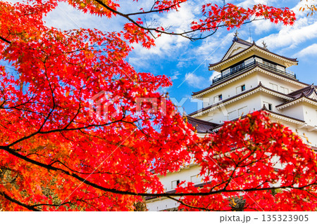 【福島県_会津若松市】晩秋の鶴ヶ城　10月 11月 135323905