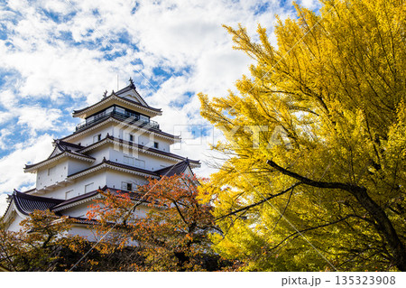 【福島県_会津若松市】晩秋の鶴ヶ城　10月 11月 135323908