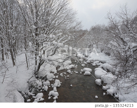 豪雪地帯の静かな川　余白のある厳冬の雪景色 135324213
