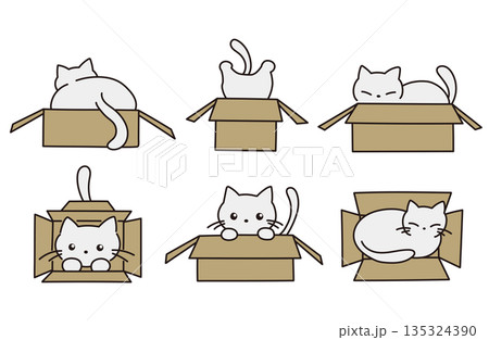 ダンボールに入った猫のイラスト素材 ダンボールに入った猫のイラスト素材 135324390