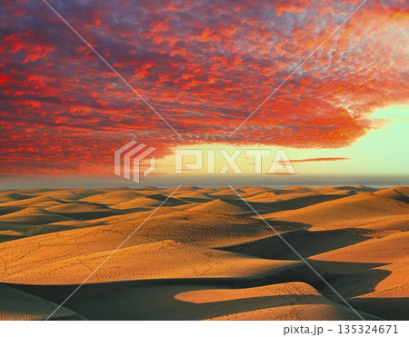 グランカナリアの大砂丘の夕景 グランカナリアの大砂丘の夕景 135324671